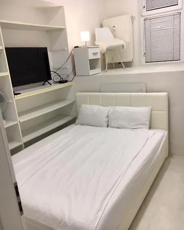 Industrial Apartment